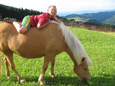 zum vergrößern anklicken