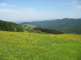Aussicht vom Balkon