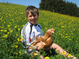 zum vergrößern anklicken